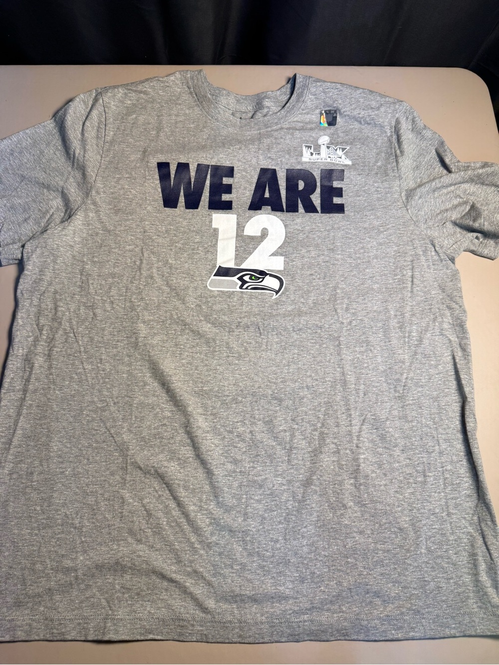 Nike Gray 'WE ARE 12' Seahawks Super Bowl Champions SS Tee